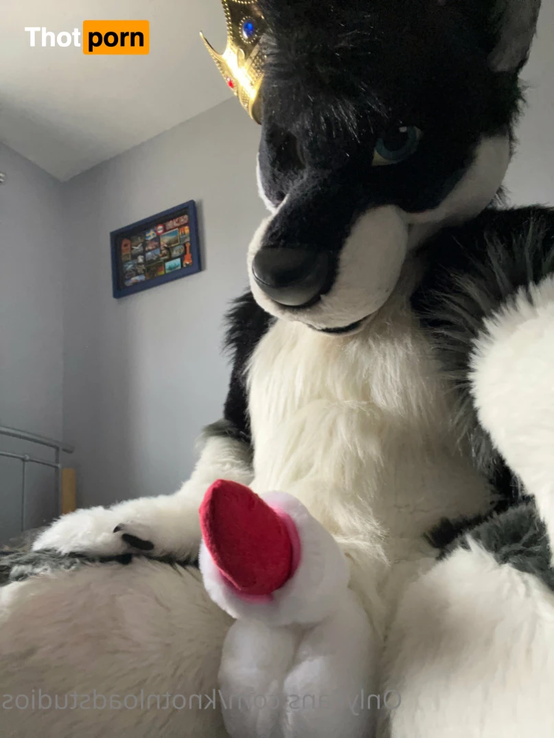 Knot 'n' Load Studios 5789046