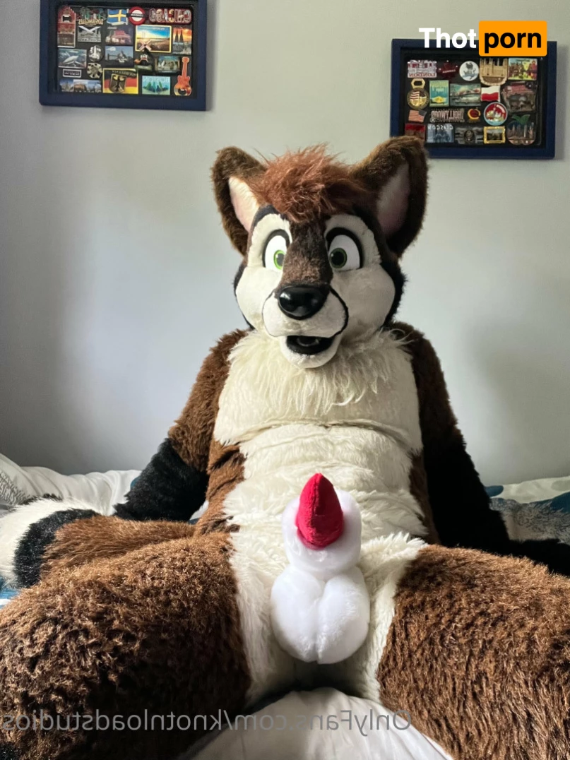 Knot 'n' Load Studios 5789083