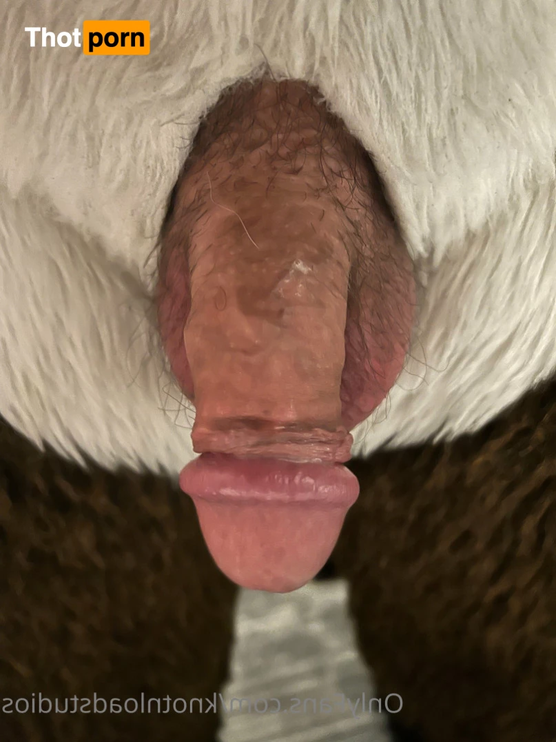 Knot 'n' Load Studios 5789094