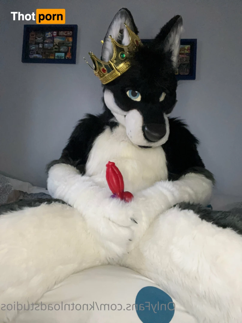 Knot 'n' Load Studios 5789121