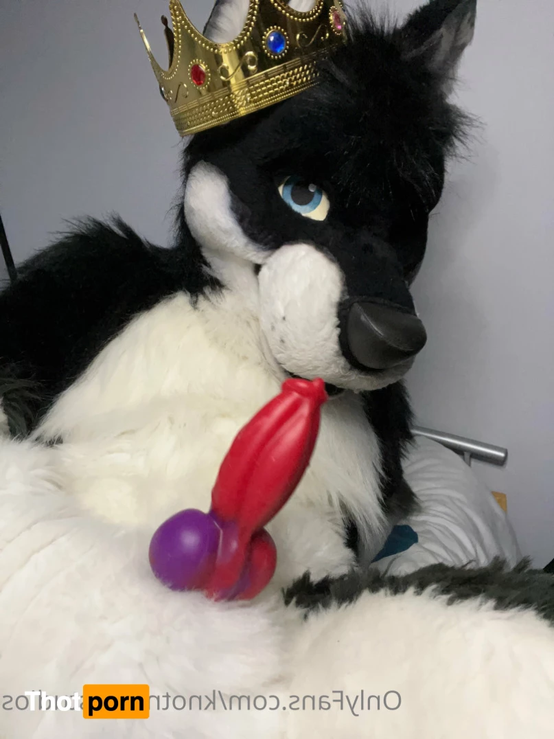 Knot 'n' Load Studios 5789143