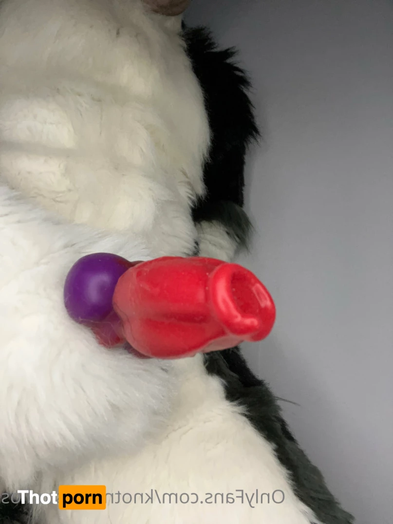 Knot 'n' Load Studios 5789165