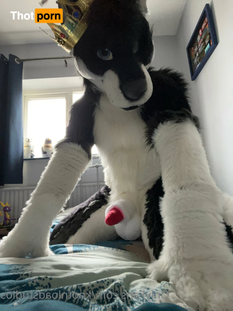 Knot 'n' Load Studios 5789204