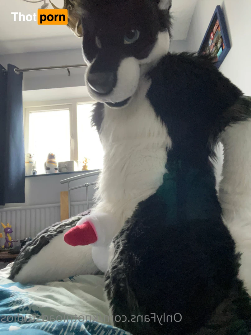 Knot 'n' Load Studios 5789213