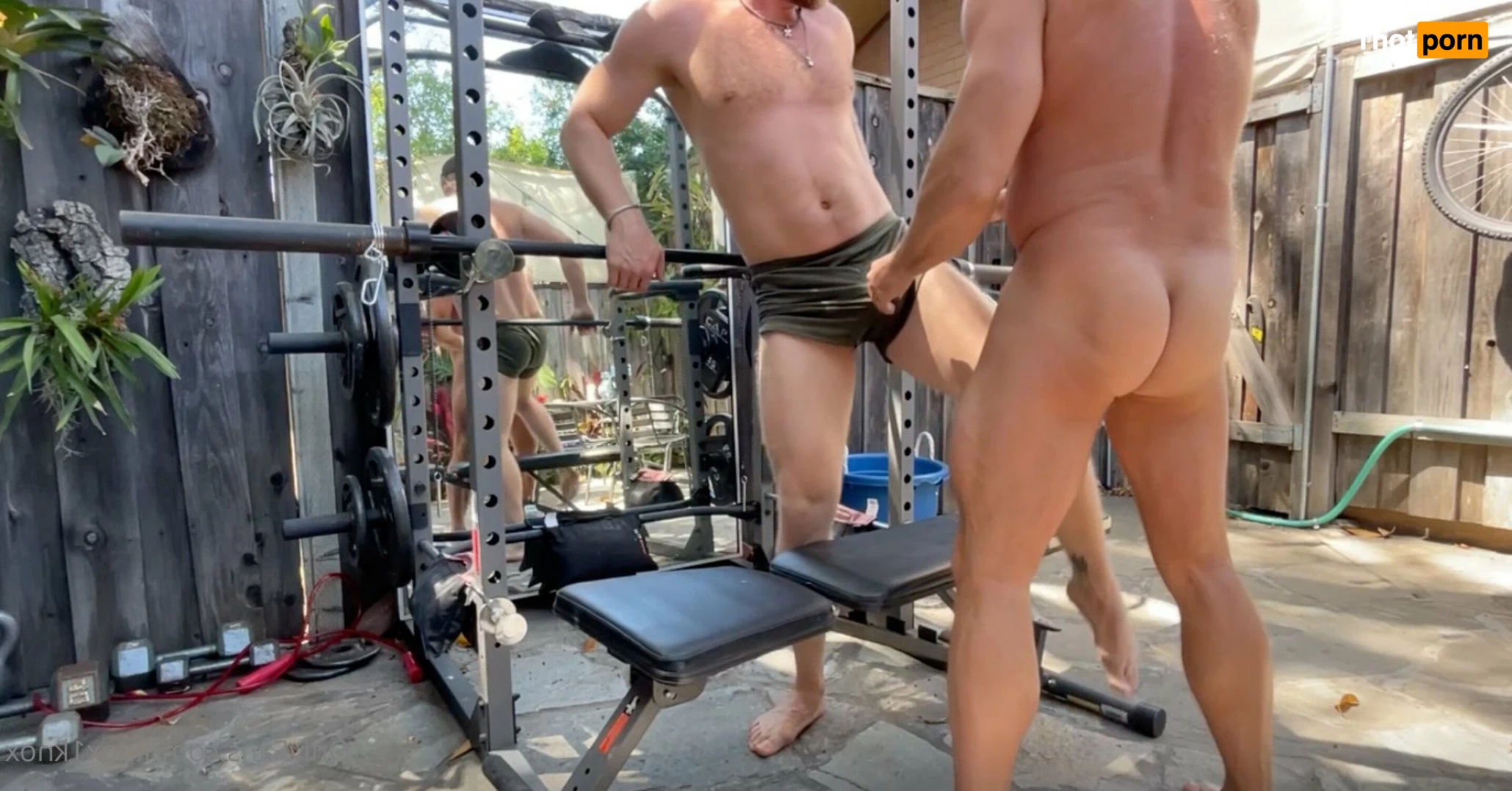 Knox1knox (Killian Knox) 3148353