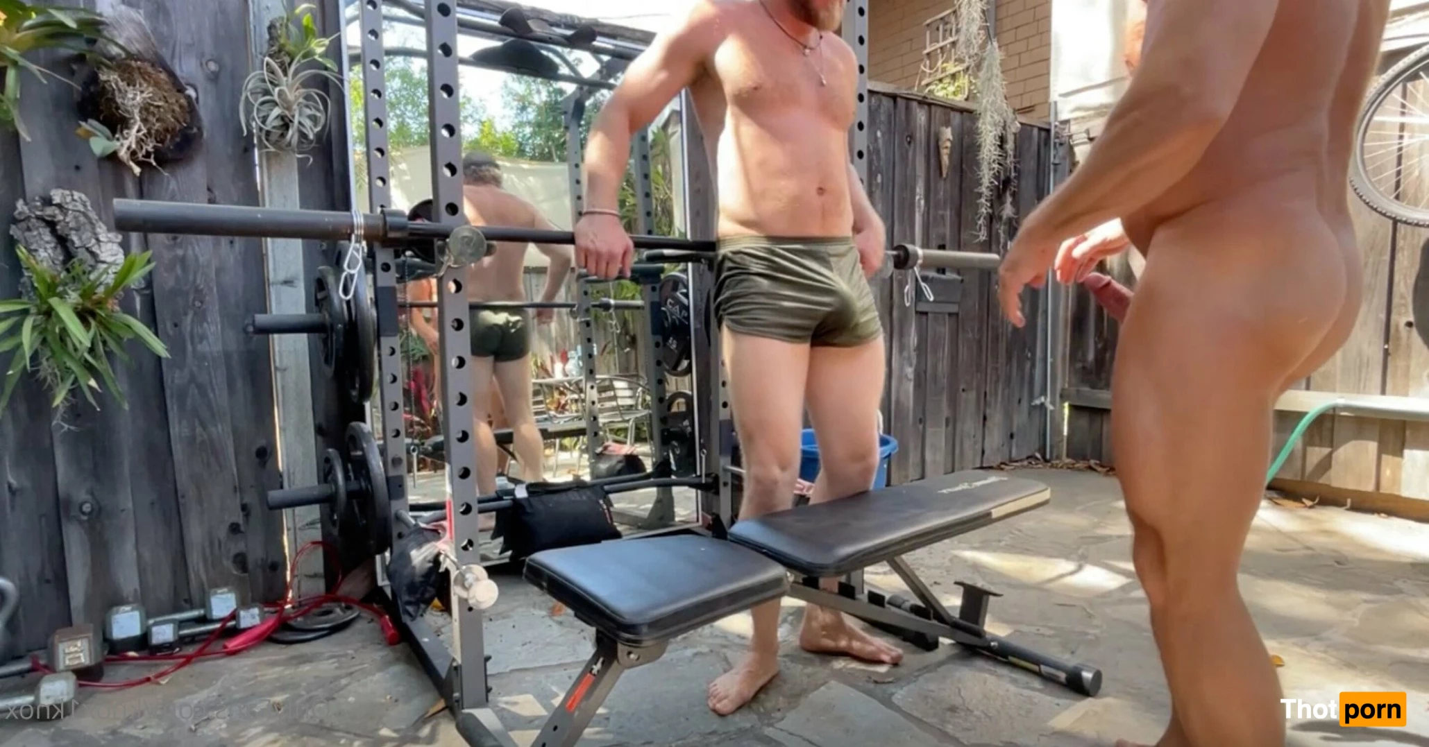 Knox1knox (Killian Knox) 3148413