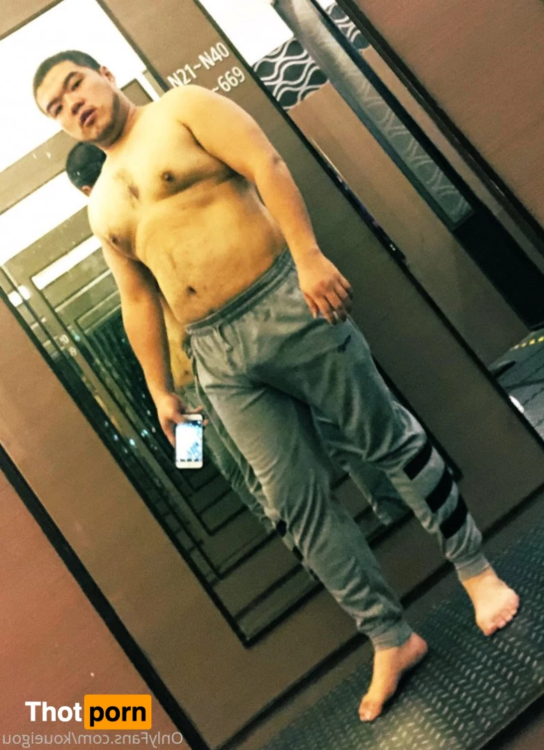 ブーちゃん 3261516