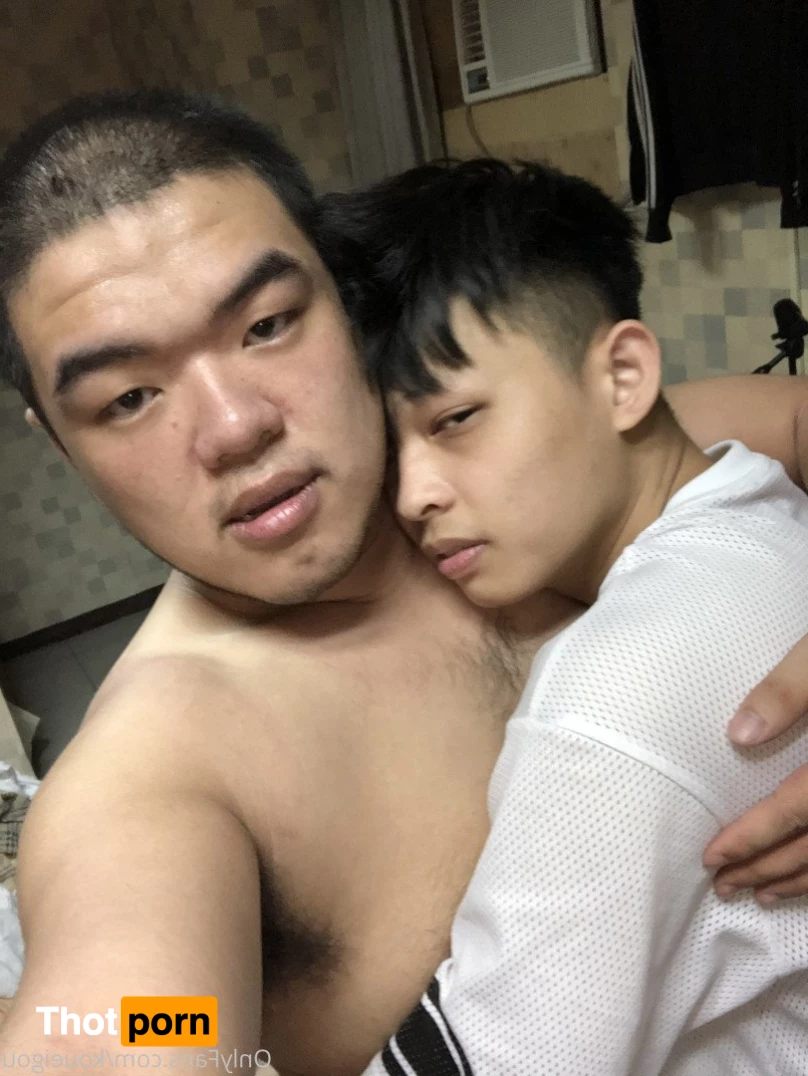 ブーちゃん 3261537