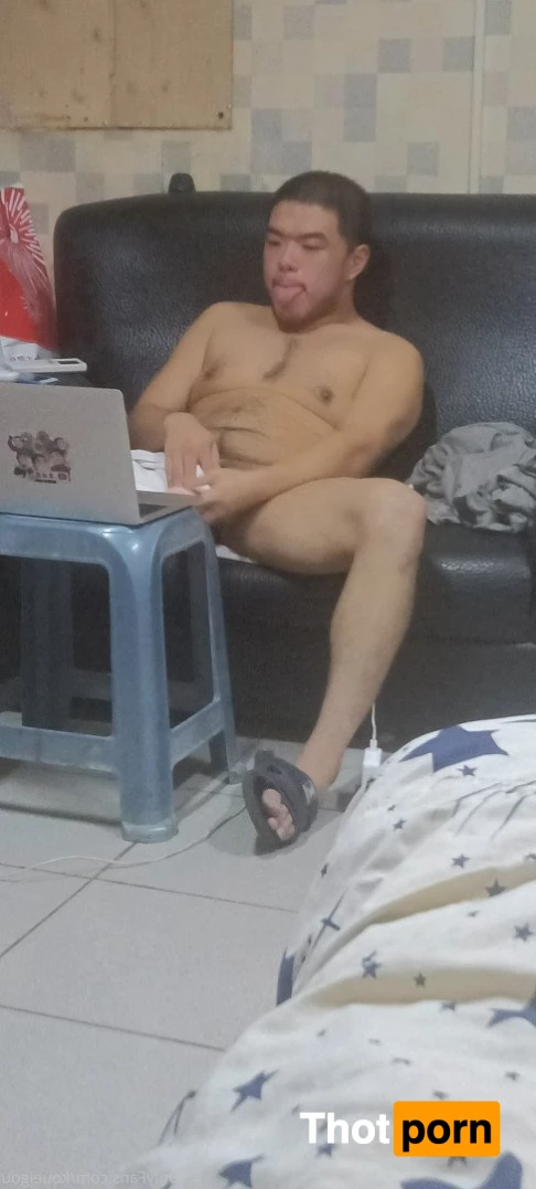 ブーちゃん 3261583