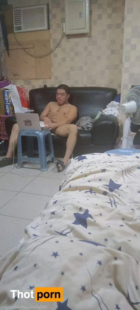 ブーちゃん 3261616