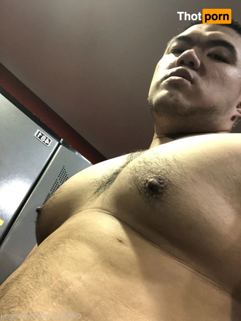 ブーちゃん 3261633