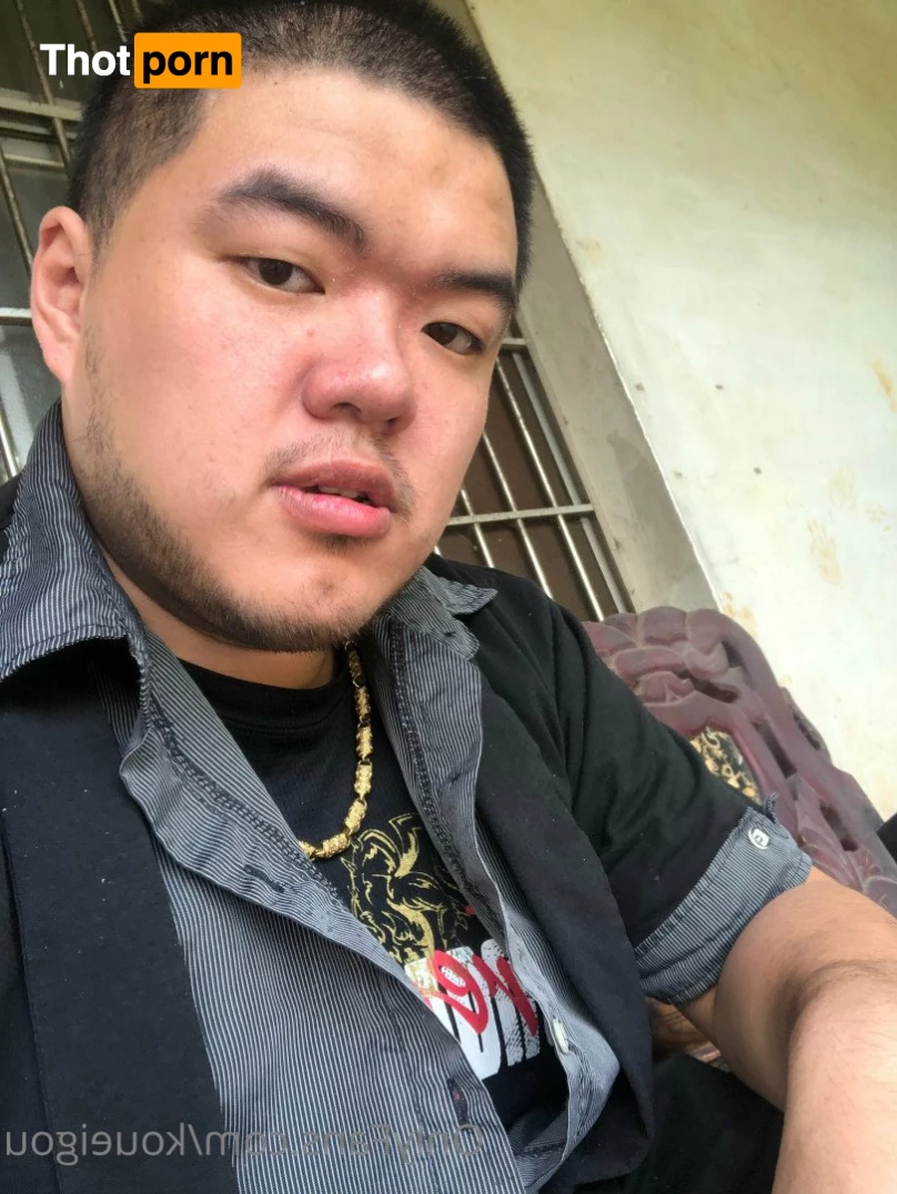 ブーちゃん 3261648