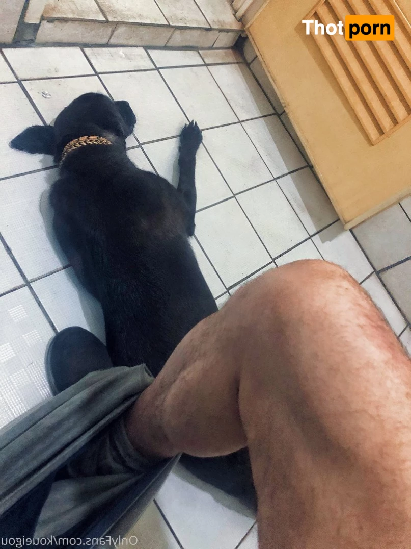 ブーちゃん 3261668