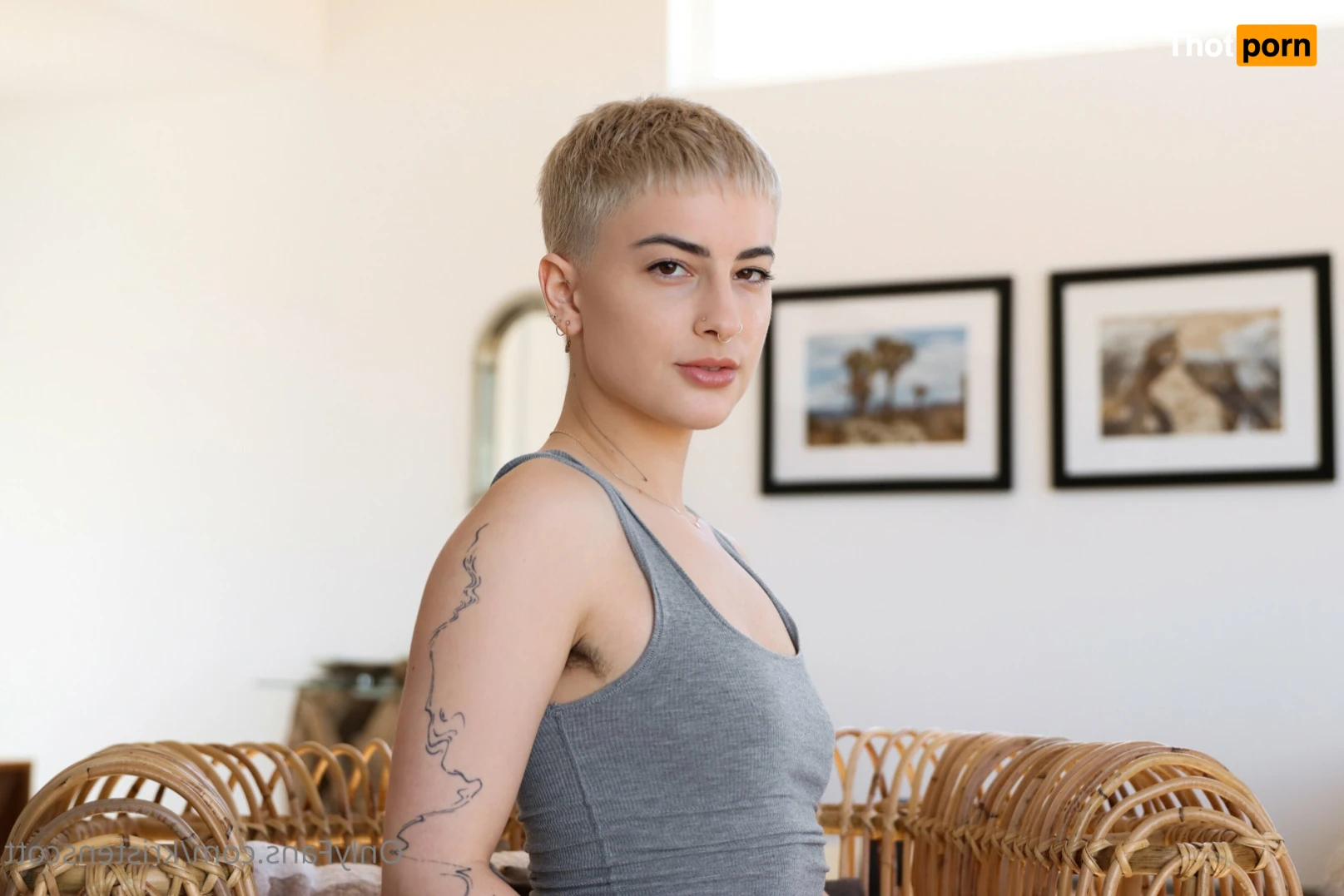 Kristen Scott 15588403