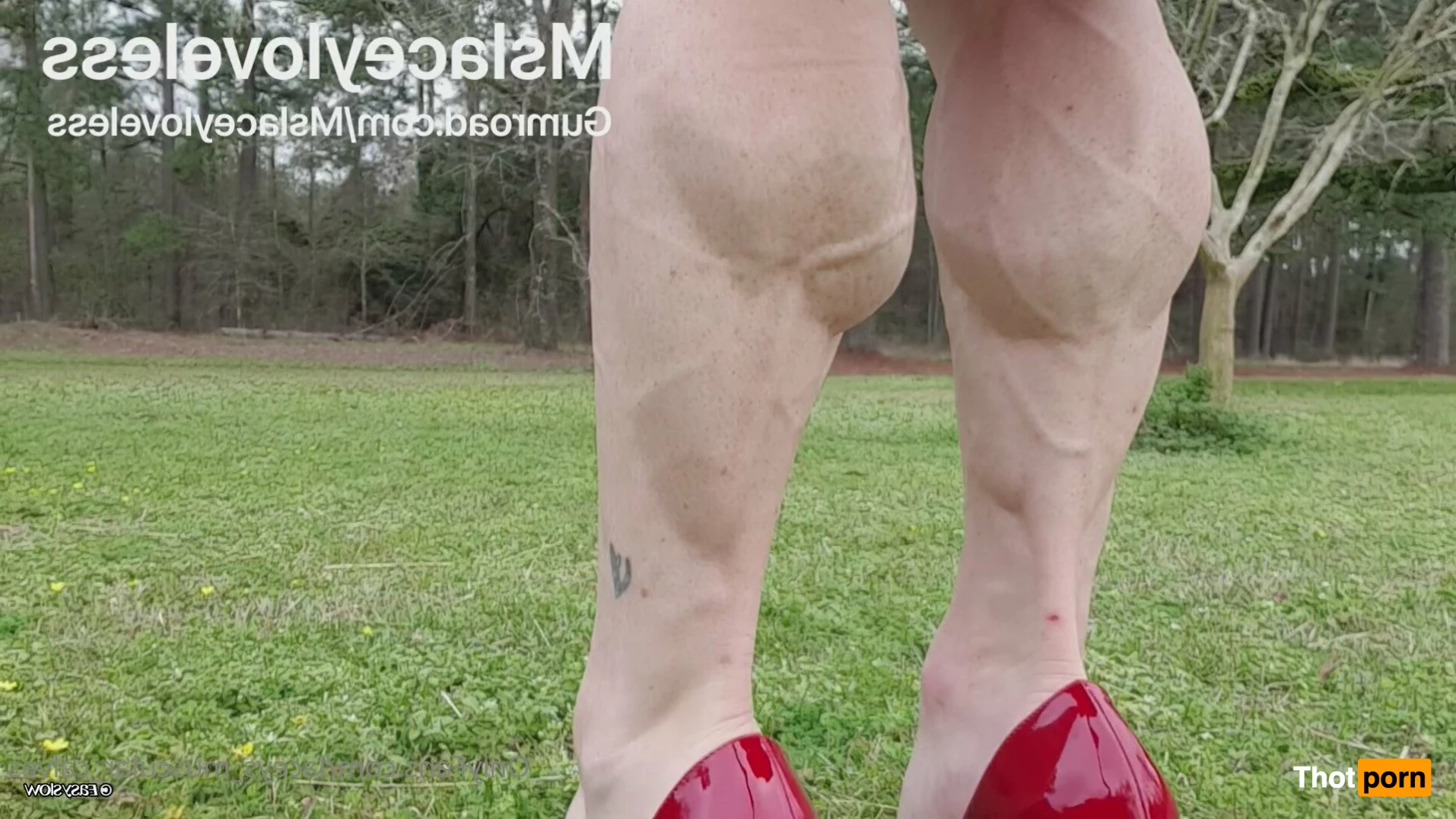 Ms Lacey Loveless 3453388