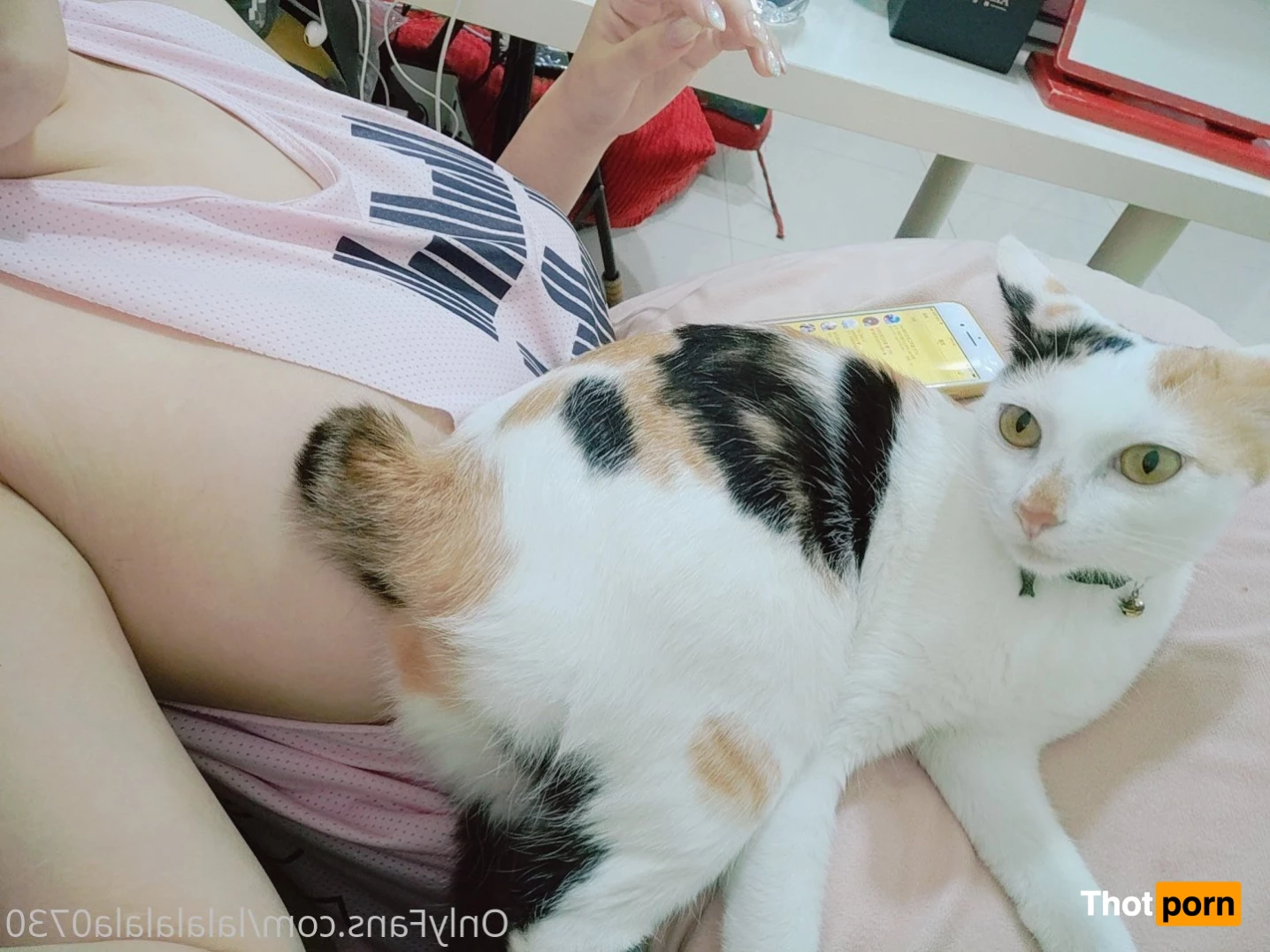 菈菈寶貝 3189025