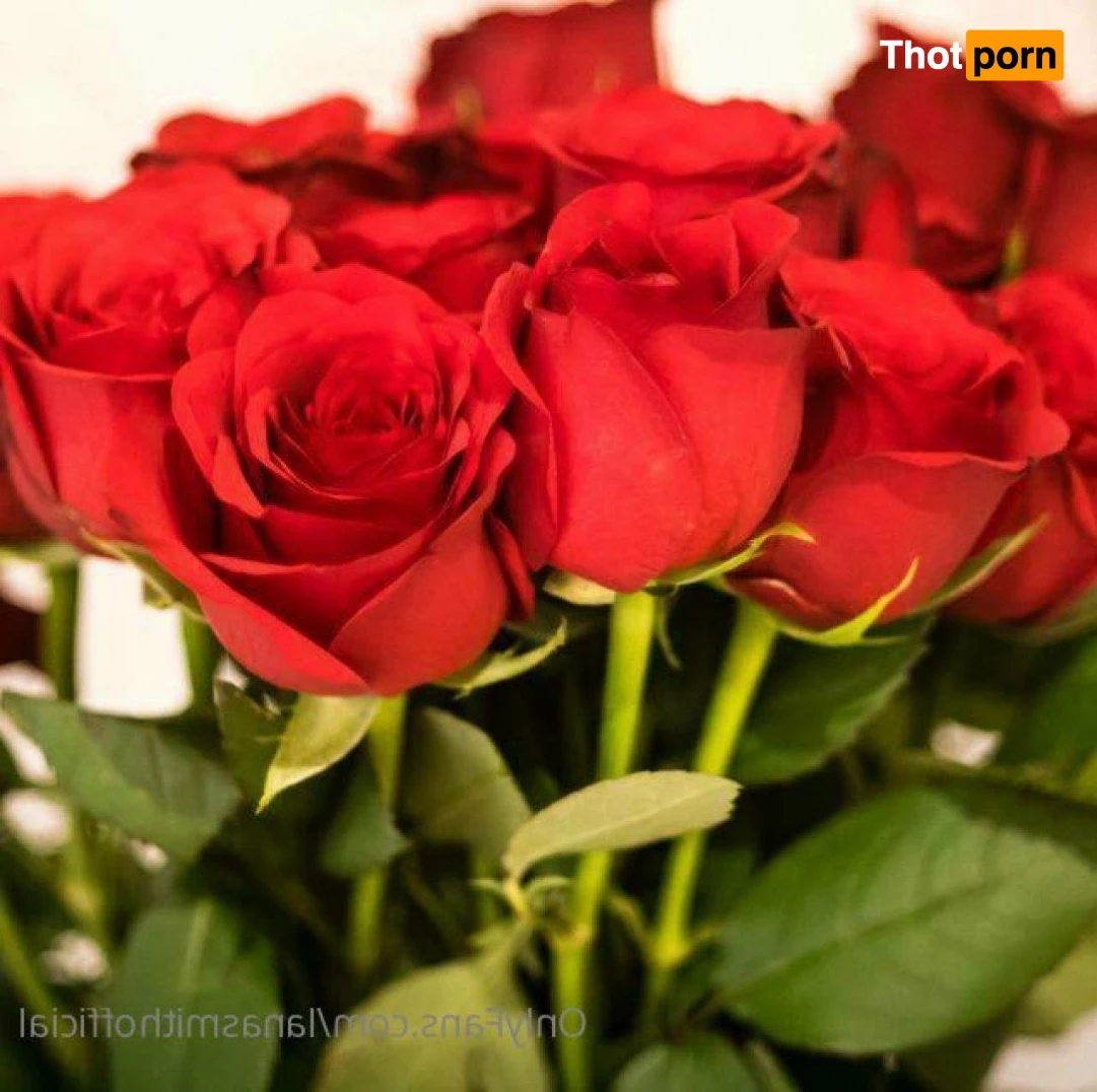 lanasmithofficial 3446341