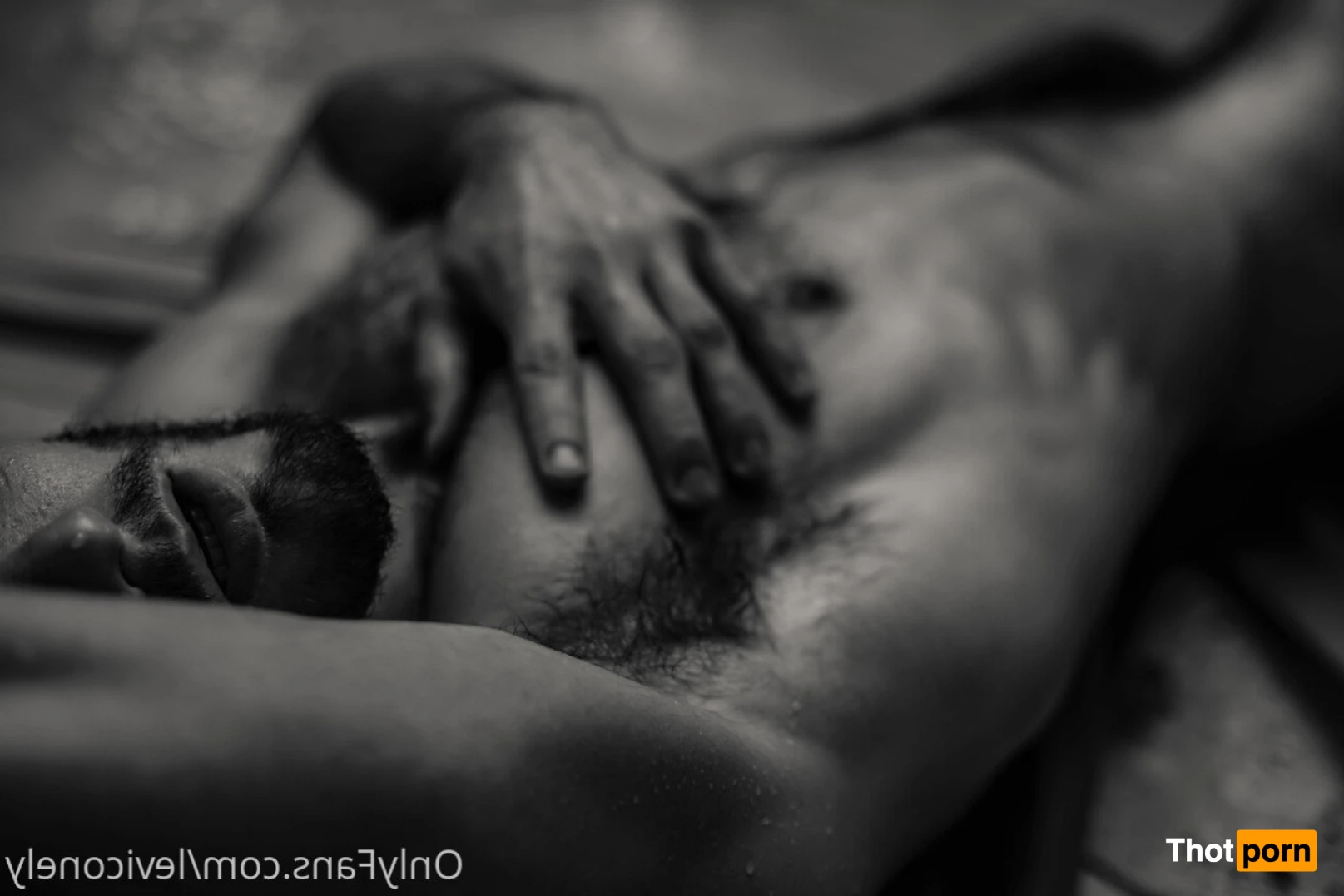 Levi Conely 15233952