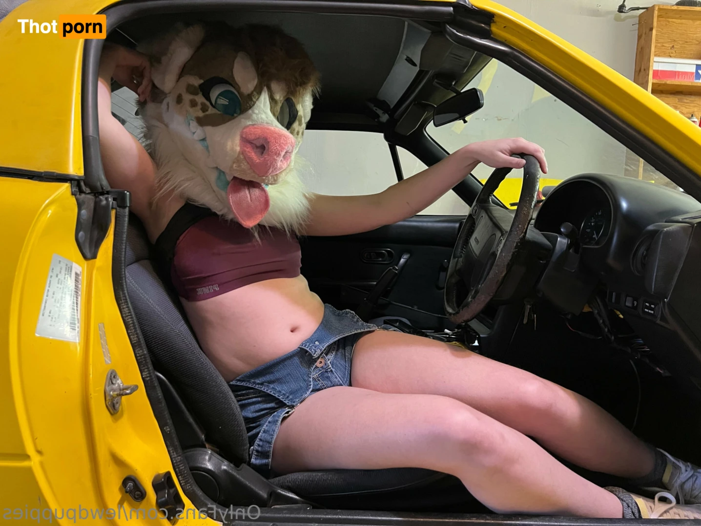 Lewd Puppers 🔞 15228822