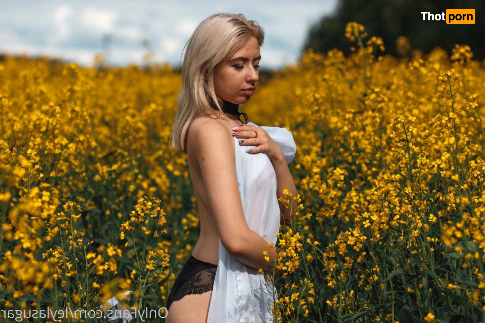 🍒Leyla Sugar🍒 3430999