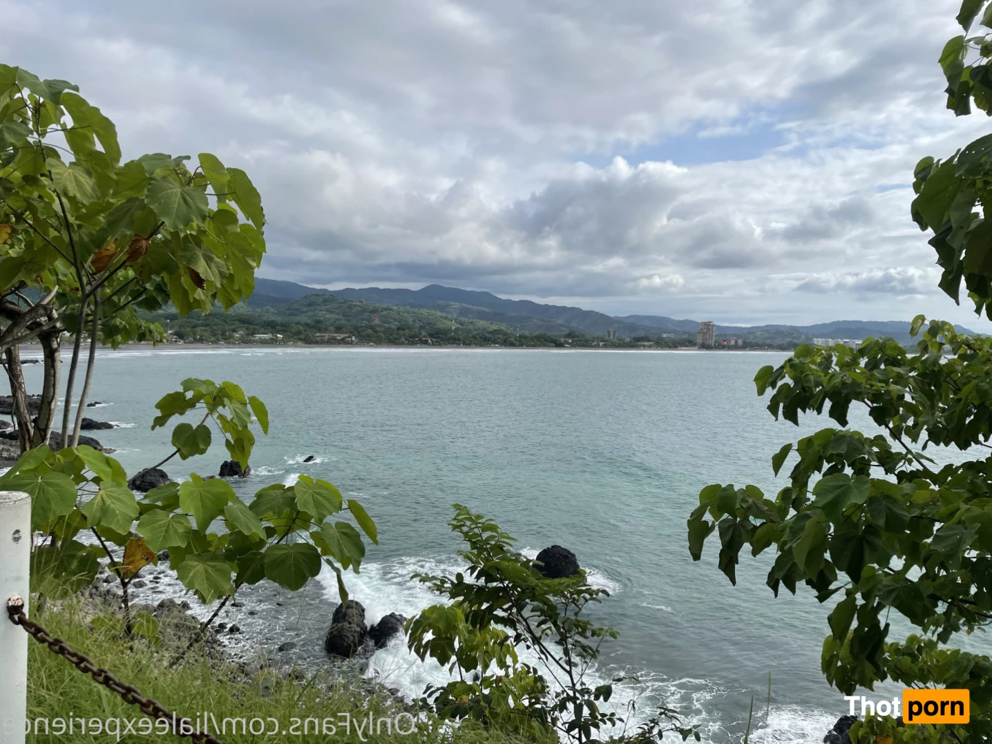 LiAleExperience 6049101