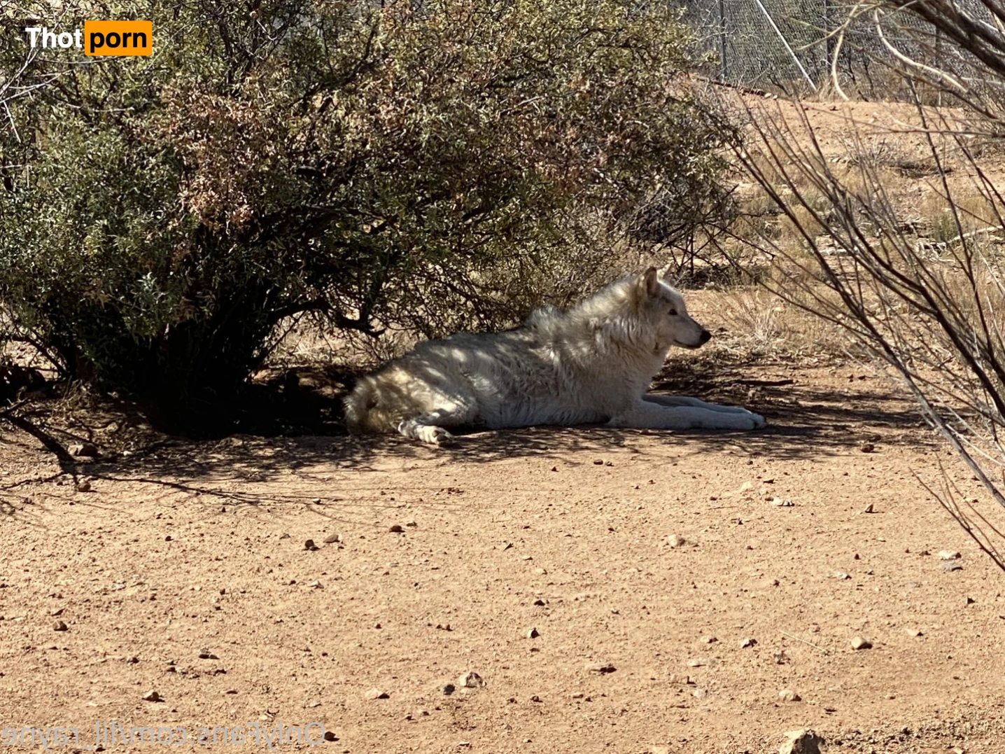 Naughty Lil Redhead 🔥 15107923