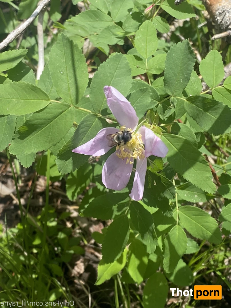 Naughty Lil Redhead 🔥 15108165