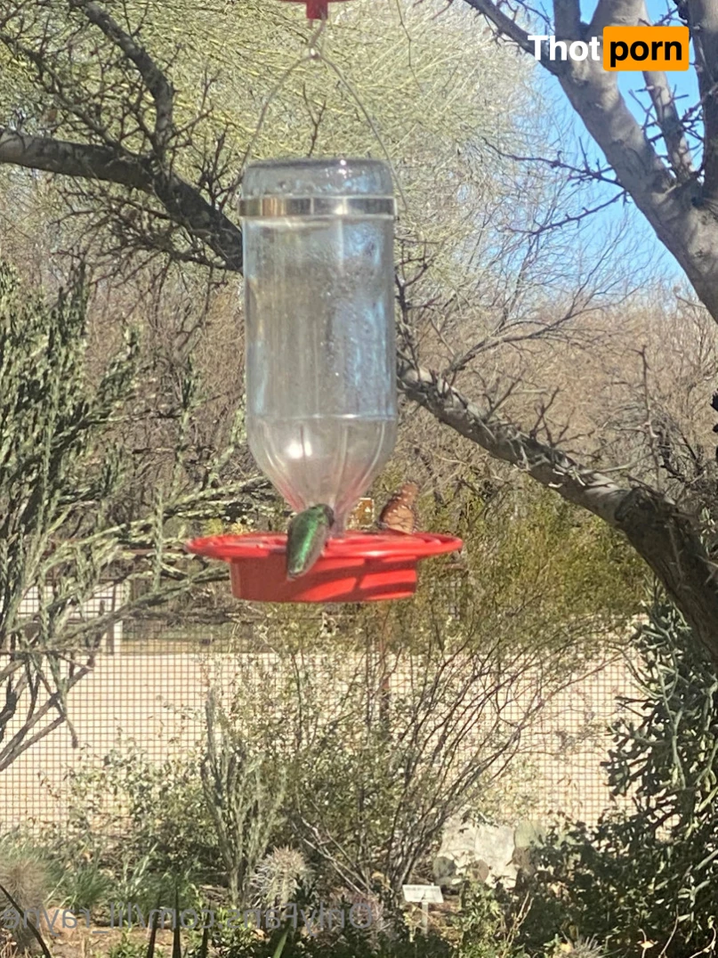 Naughty Lil Redhead 🔥 15108285