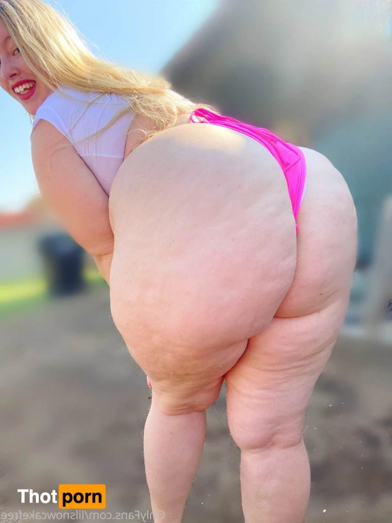 Lil snow cake 3160109