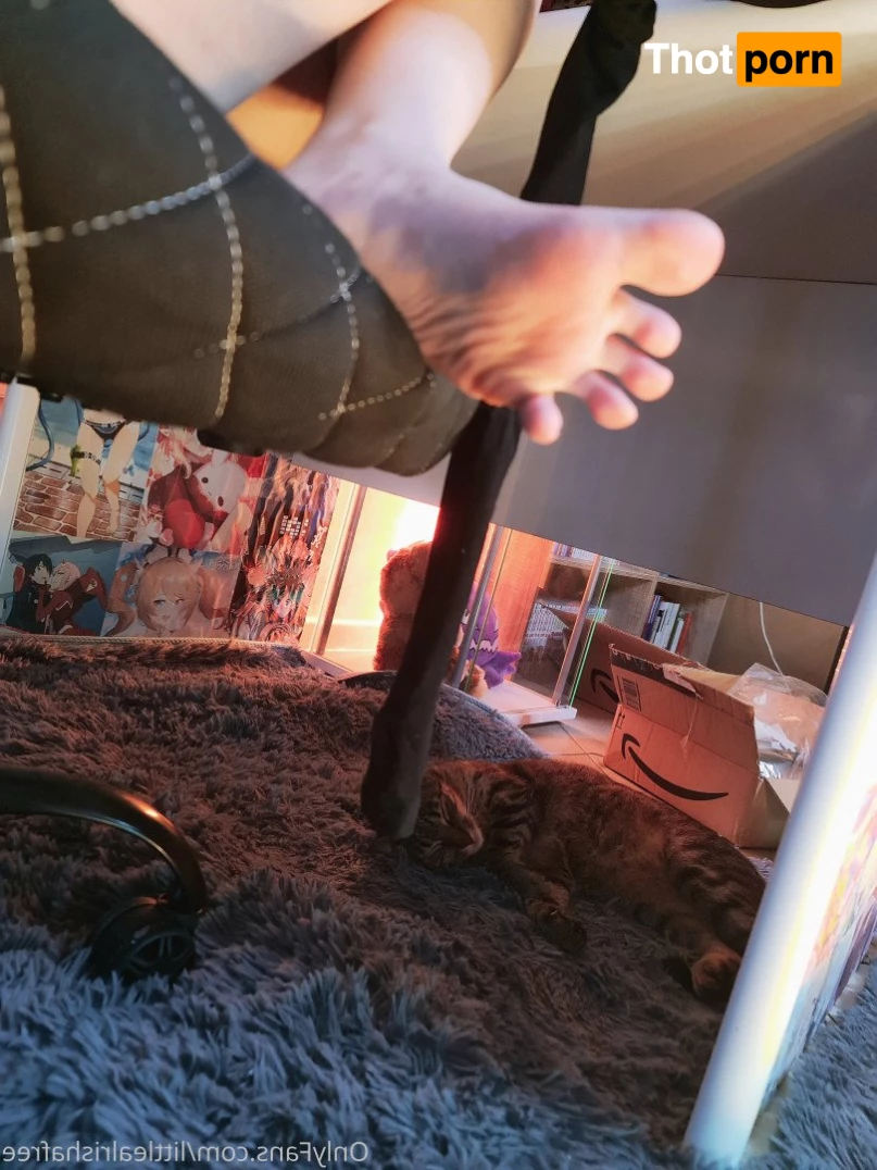 LittleAlrishaFREE 3200335