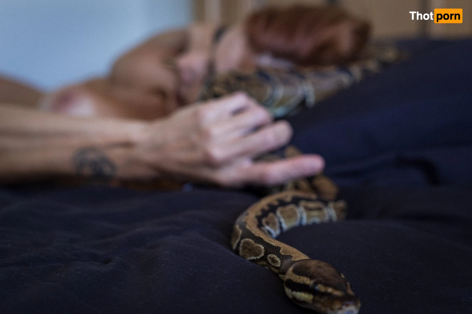 Little Astronaut Dude 3158003