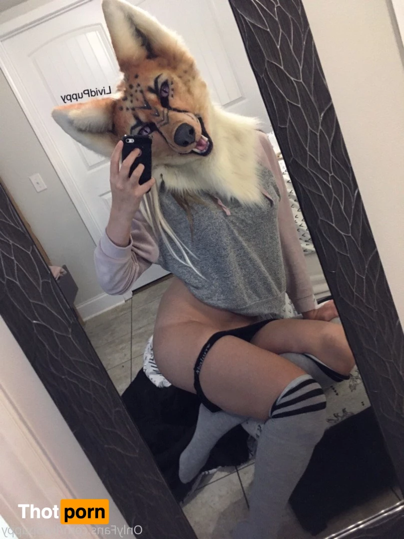 ⛓🖤 Livid 🖤⛓ 3135606