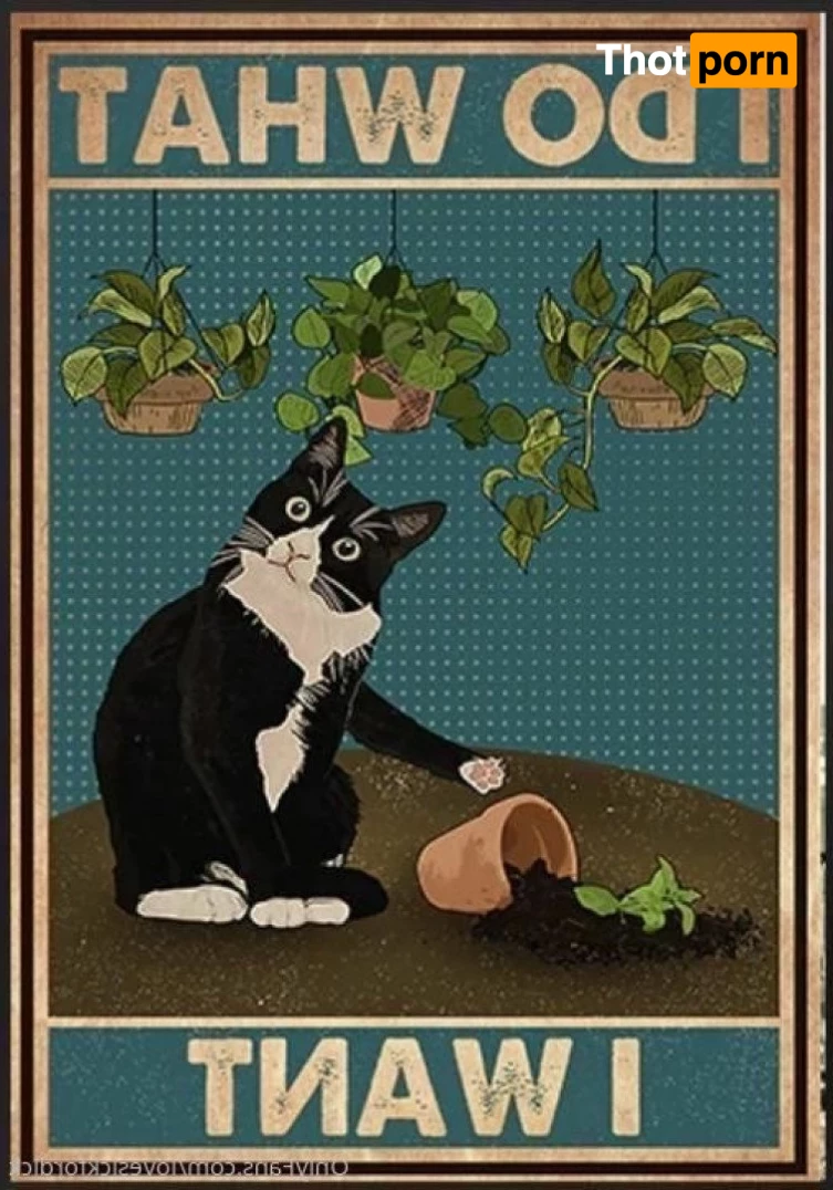 Roxie Lovesick 3155363