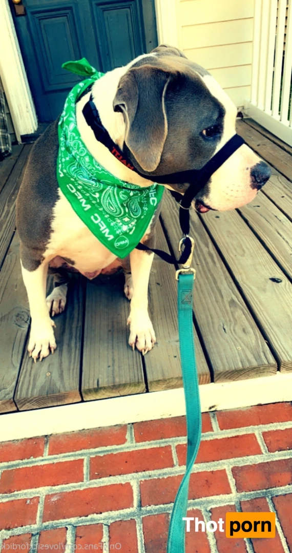 Roxie Lovesick 6231436