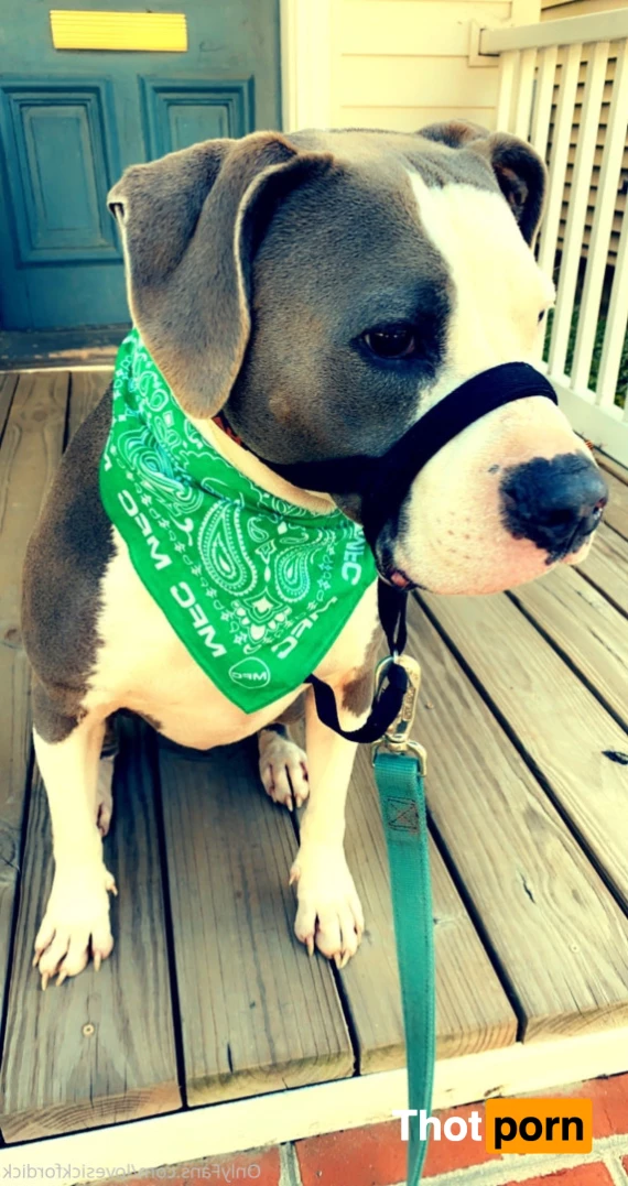 Roxie Lovesick 6231462