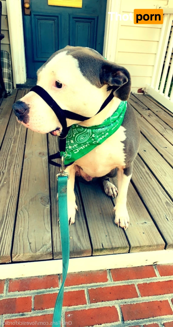 Roxie Lovesick 6231576