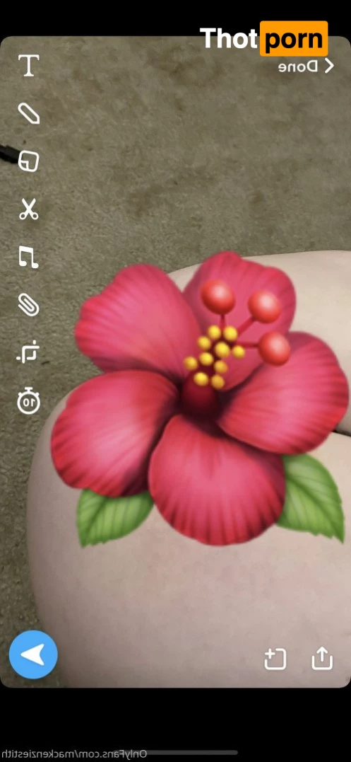 Mackenzie Stith 3123982