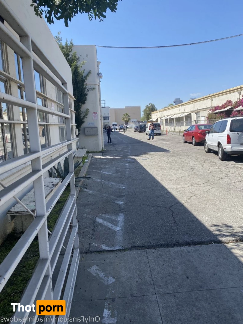 Madi Meadows 3110653