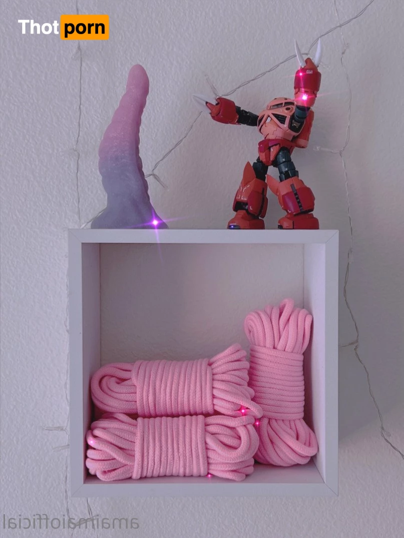 maicollections 3120858