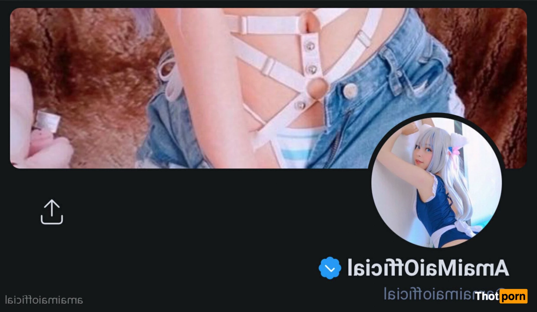 maicollections 3120982