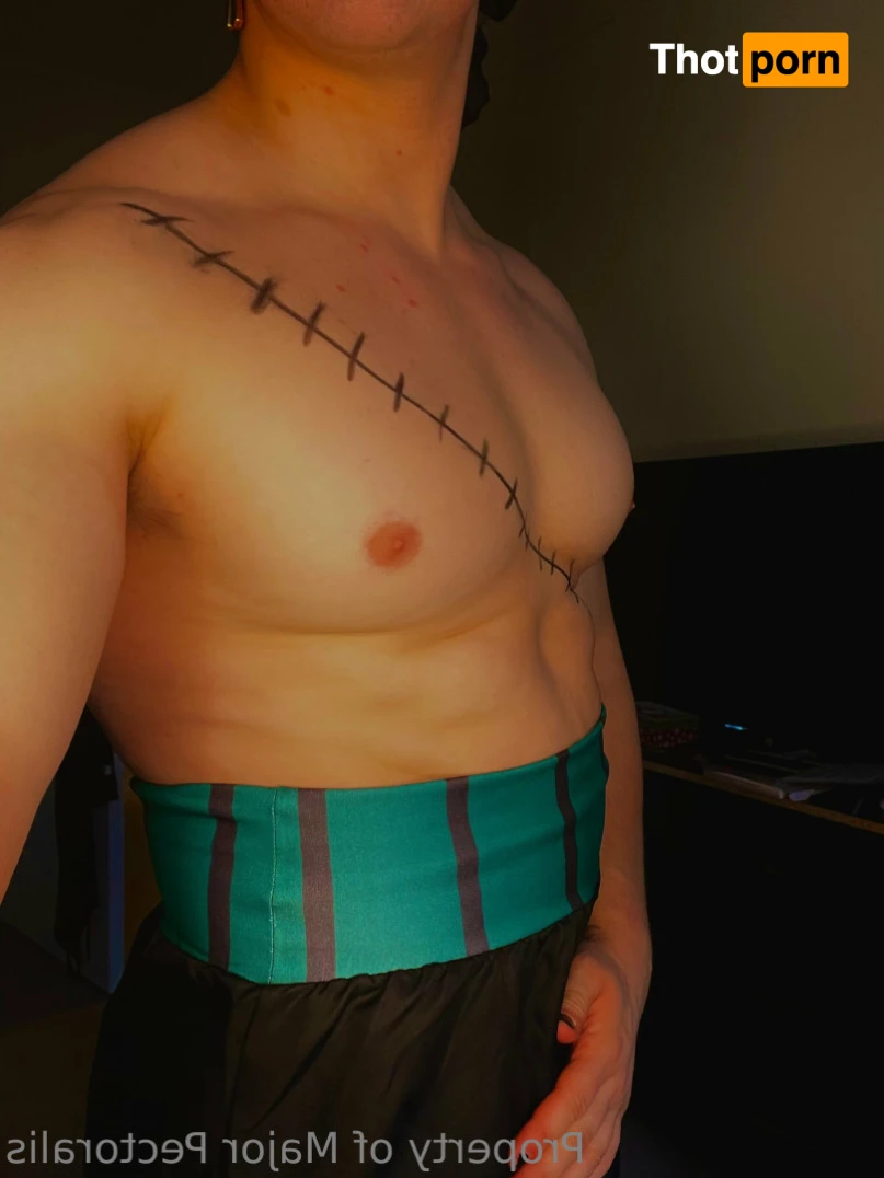 Major Pectoralis 14738885