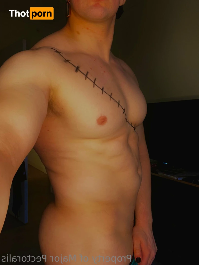 Major Pectoralis 14738943