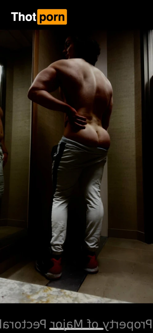 Major Pectoralis 14738982