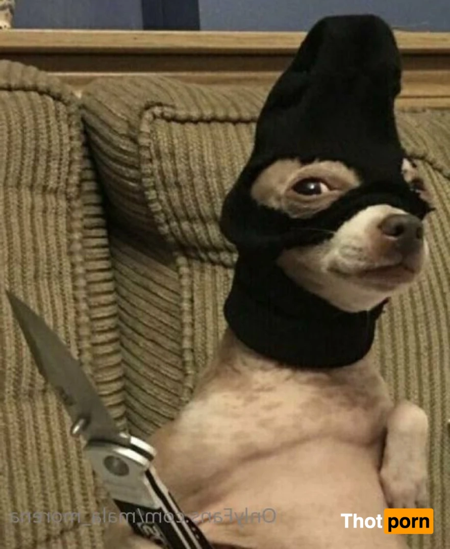 Jane Aguilera (exotic t€€n wet dream) 16530749