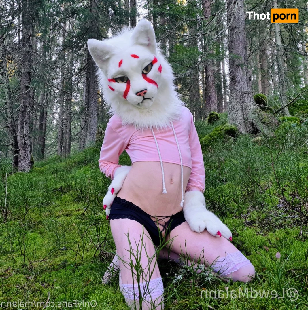 Malann the 🍑 kitty 3079526