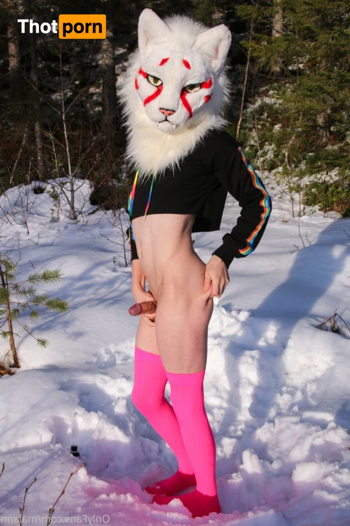 Malann the 🍑 kitty 3079578