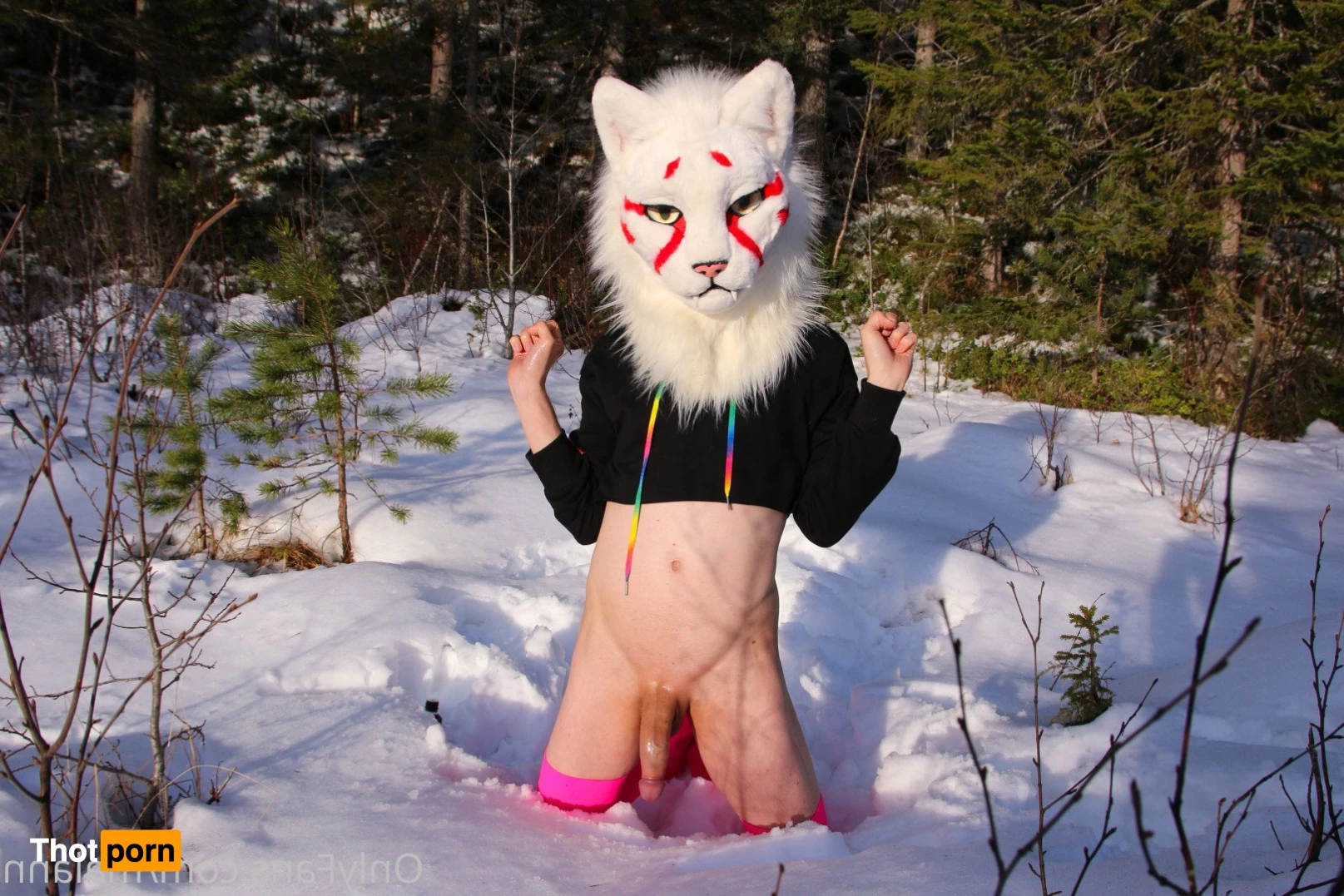 Malann the 🍑 kitty 3079600