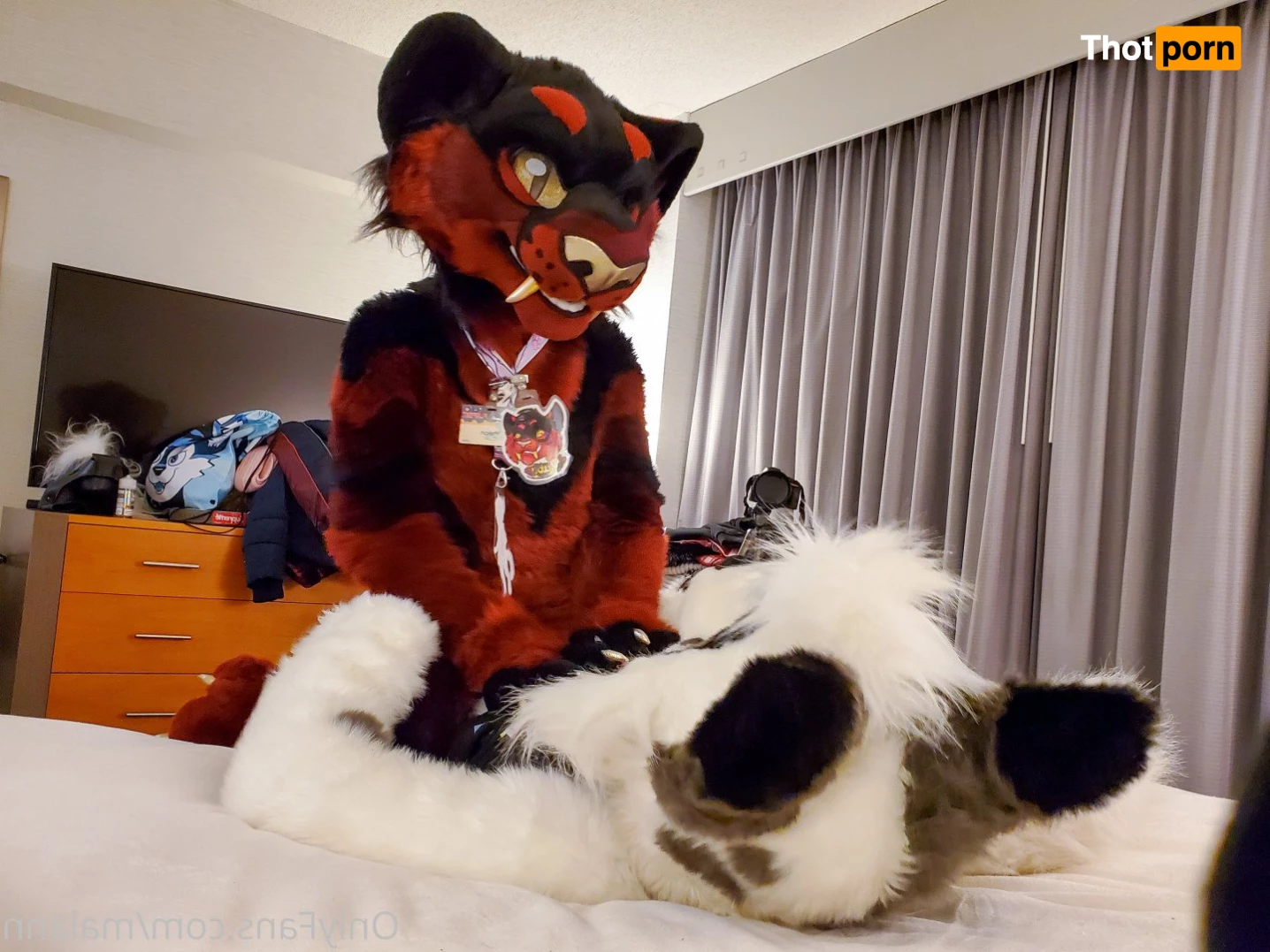 Malann the 🍑 kitty 3079622