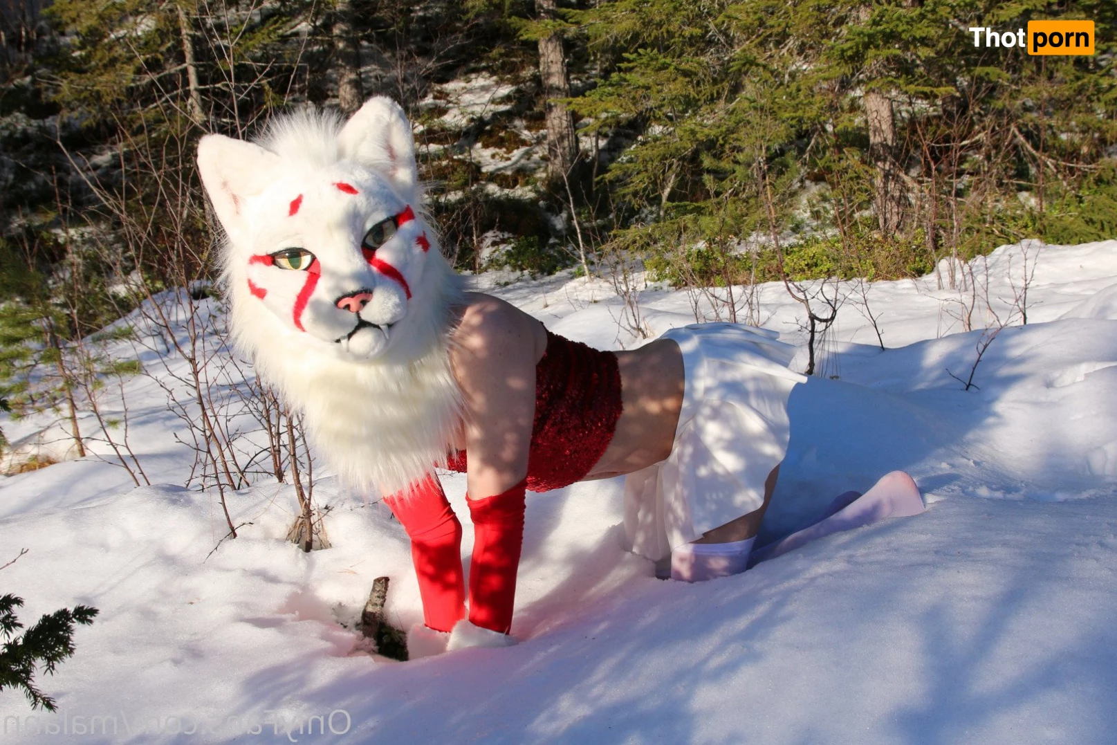 Malann the 🍑 kitty 3079664