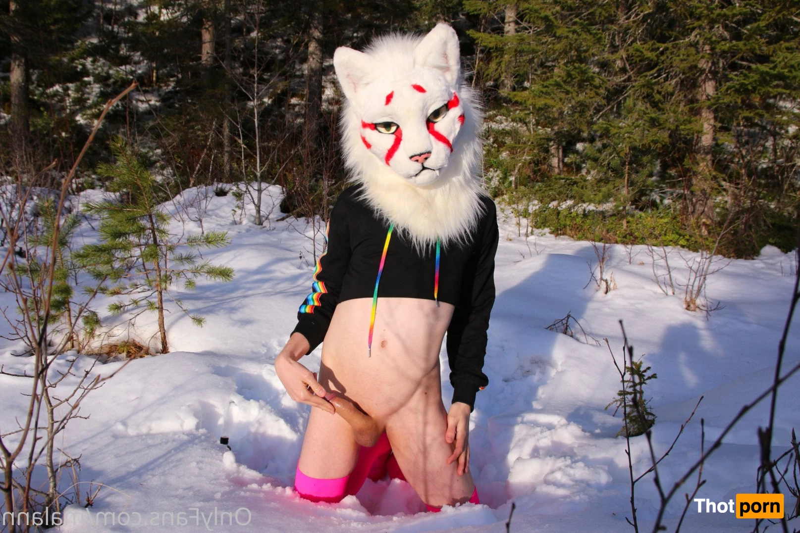 Malann the 🍑 kitty 3079697